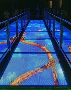 Interactive LED Floor Display - Immersive floor display application